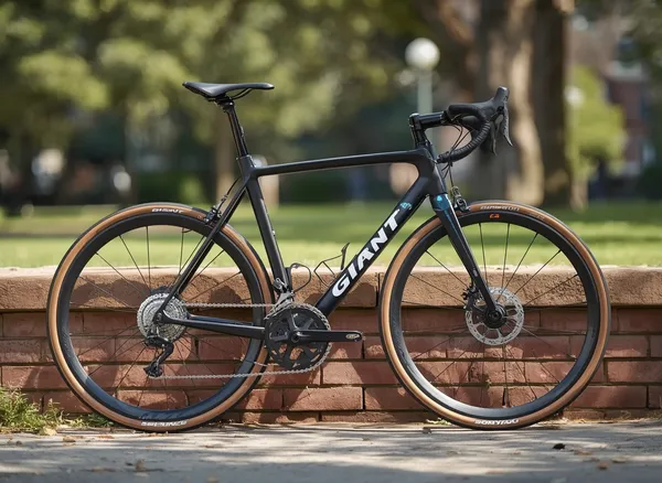 Giant Contend 3