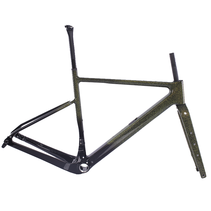 2025 New Designed UDH Hanger Full Carbon Fiber Gravel Bike Frame FM296