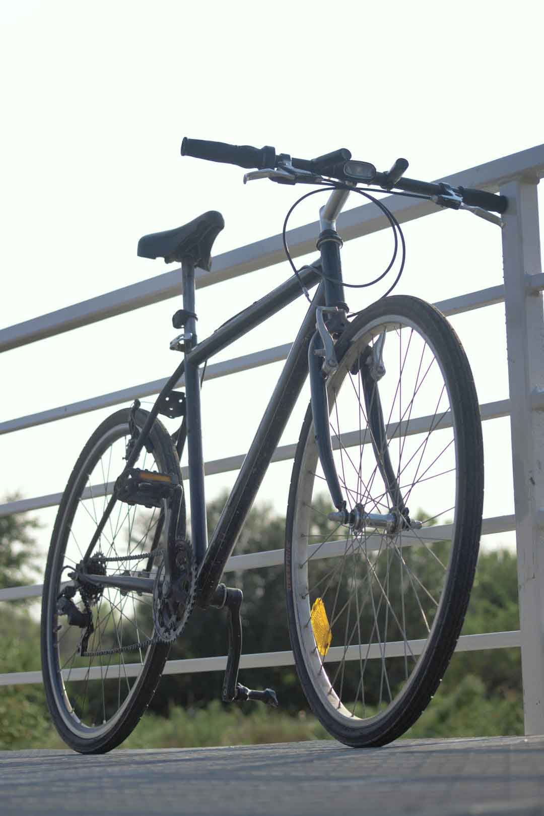 carbon bike frame
