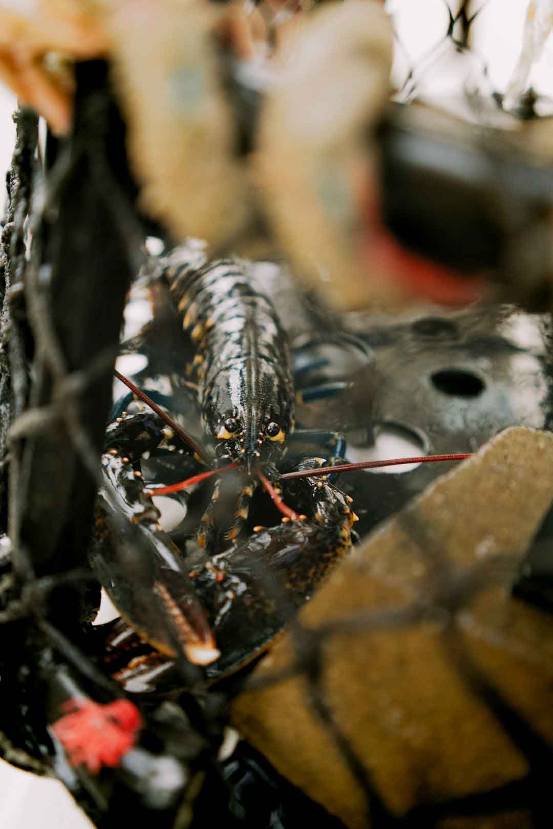 Close-up of gravel bike components