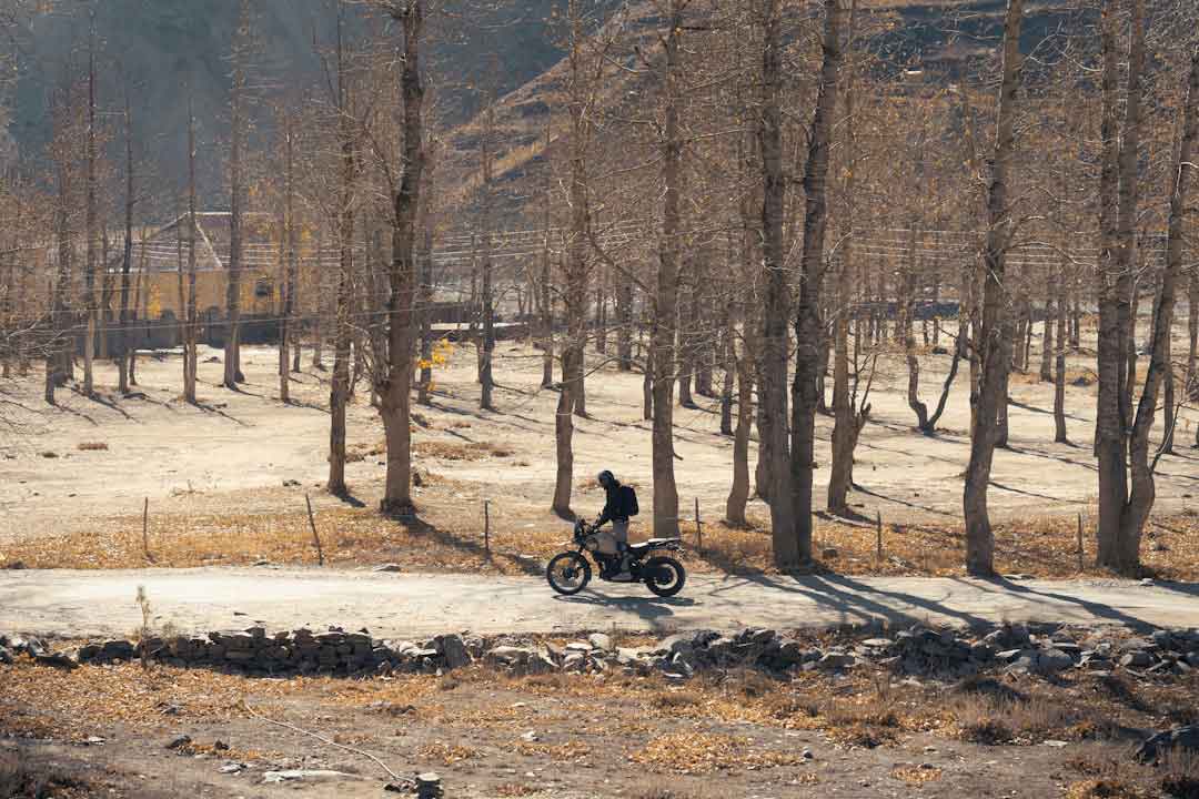 Road bike on a scenic trail