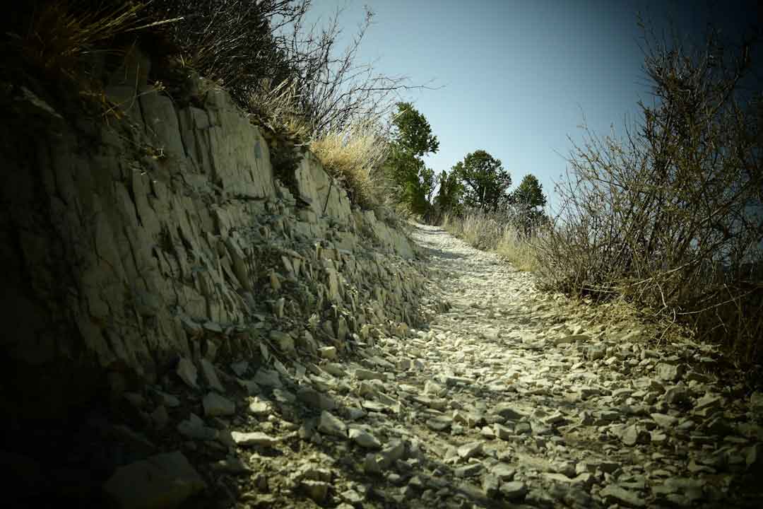 gravel_bike_trail