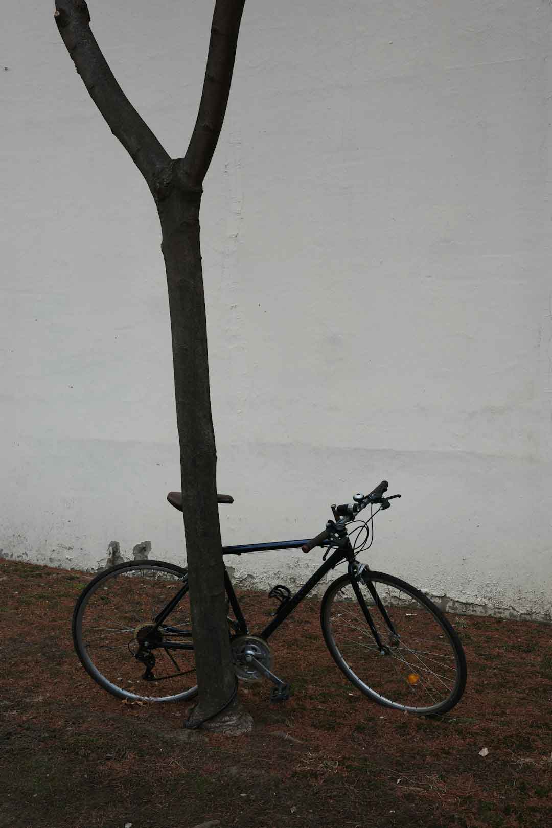 Road bike on a measuring stand