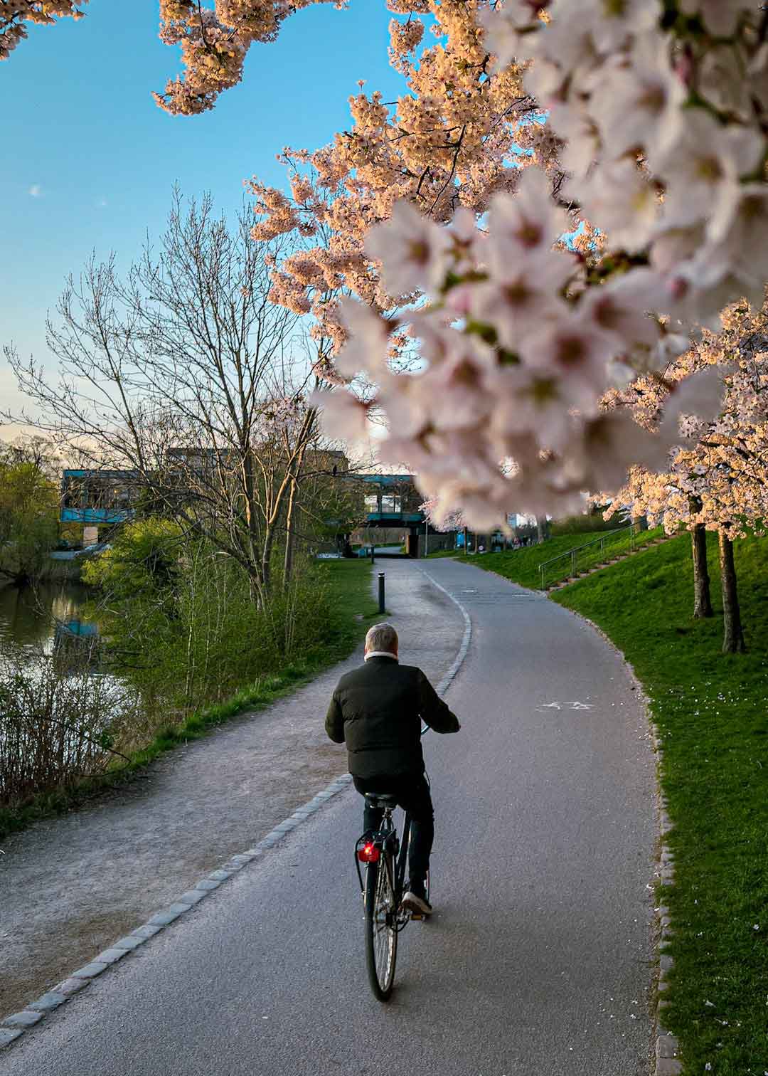 Cyclist Enjoying a Scenic Ride