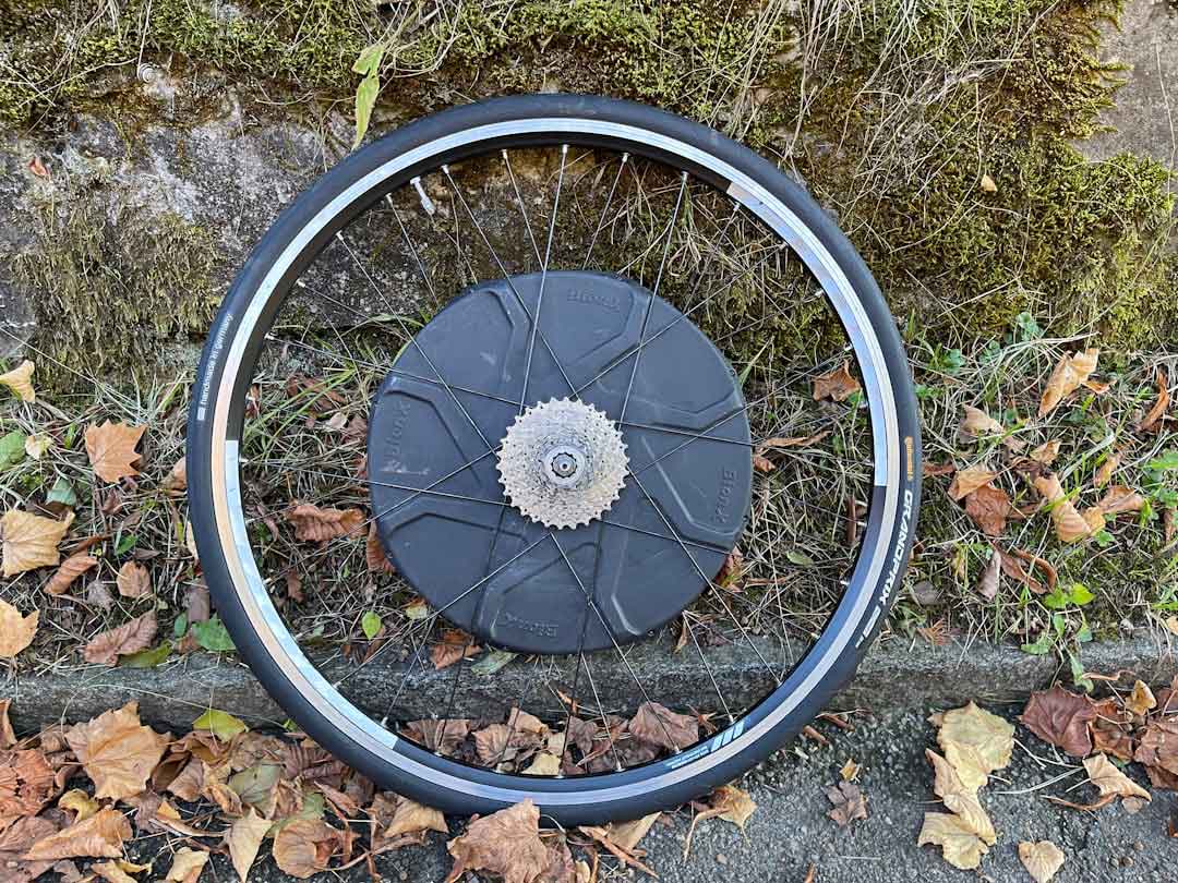 variety of bike wheel sizes