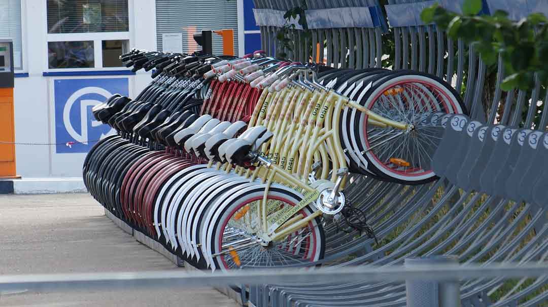 Different types of road bikes lined up