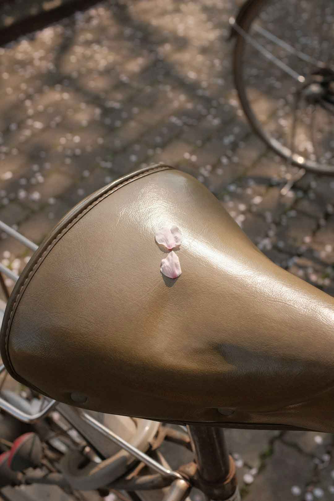Close-up of a woman's foot in a cycling shoe, showing fit and cleat position