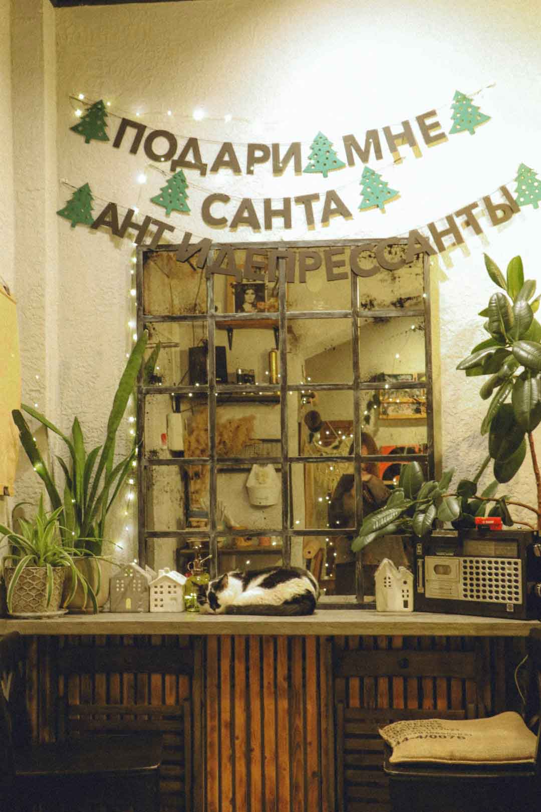 Pinarello Dogma F in a showroom