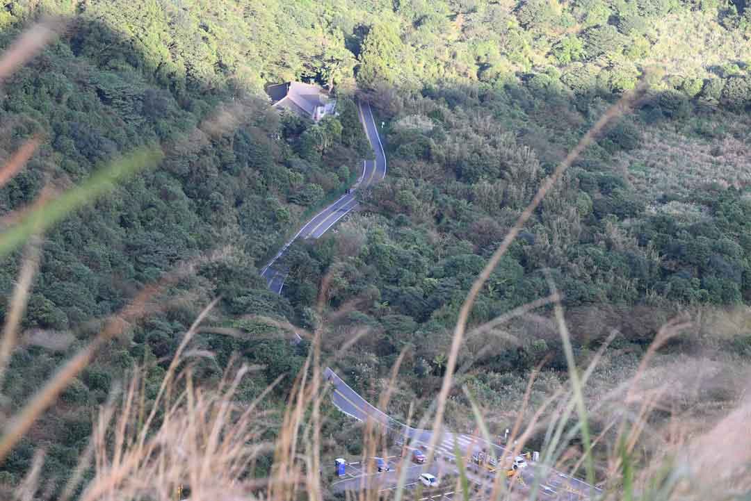Trek Domane AL 2 on a scenic road