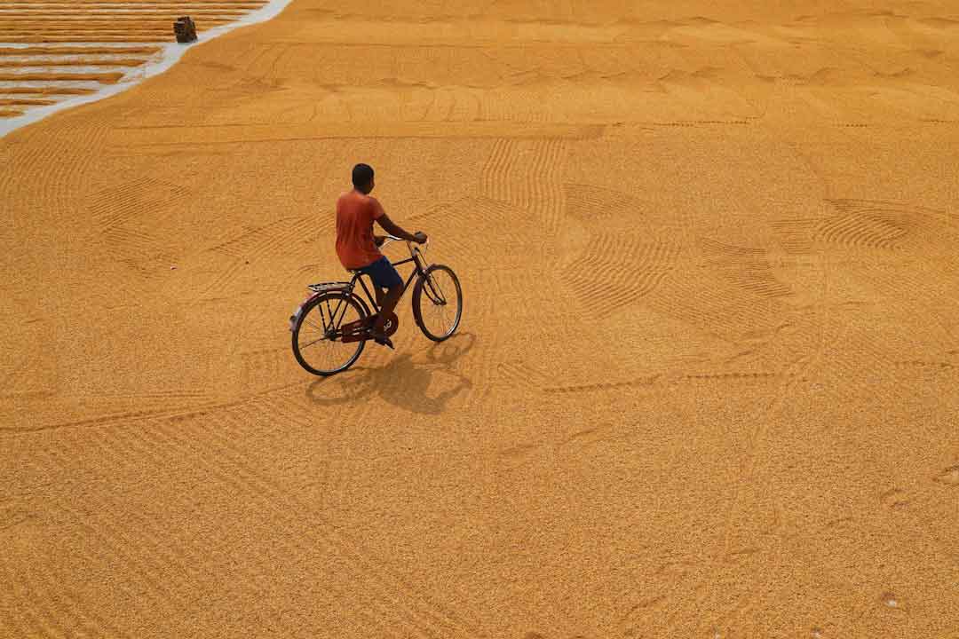 Cyclist on a gravel path