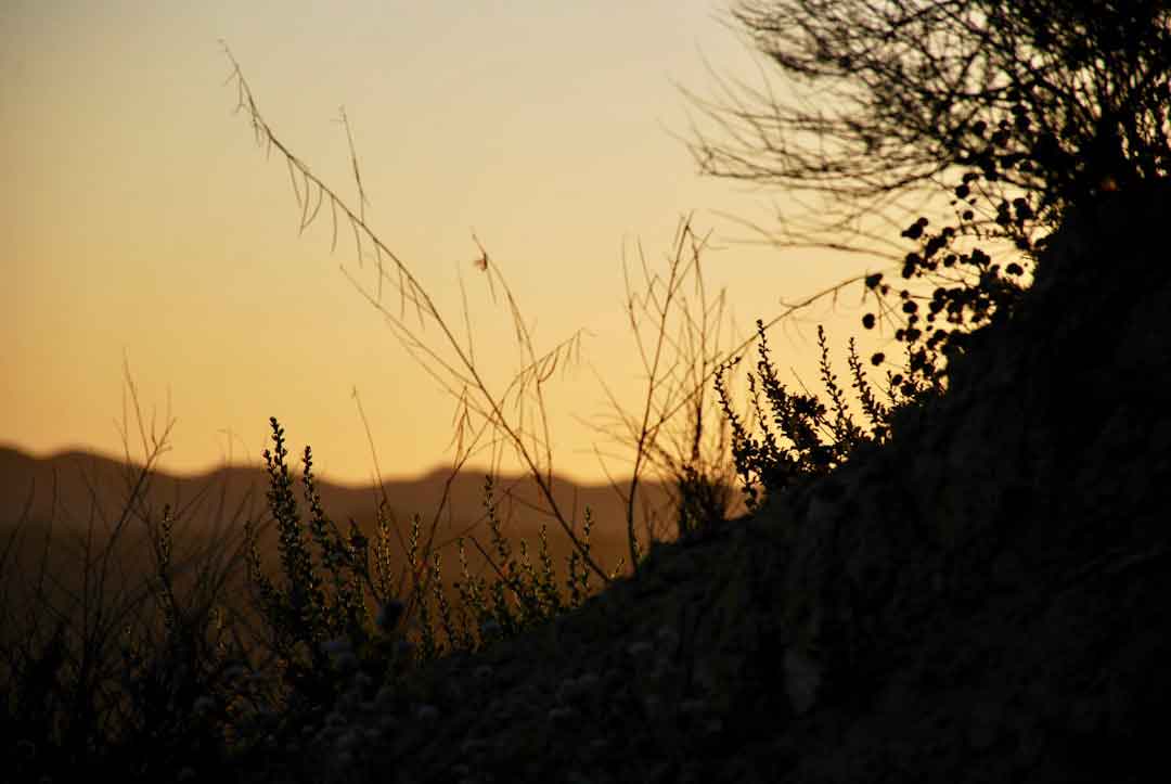Sunrise over a gravel trail