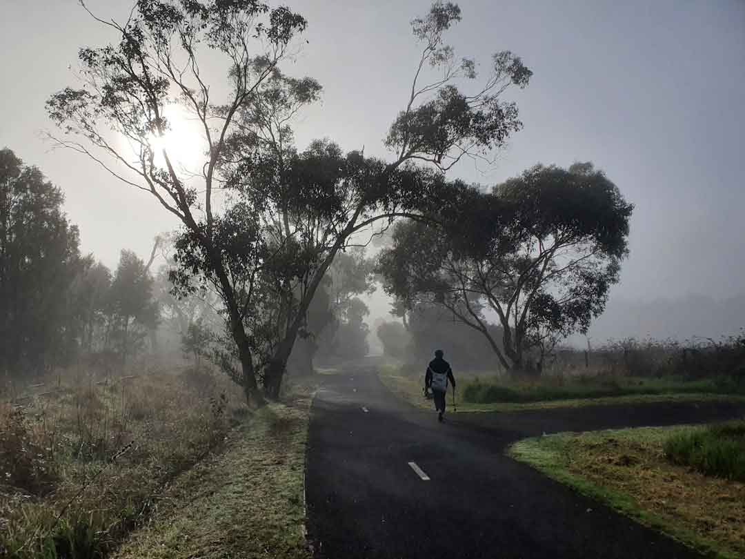 Cyclists riding on gravel paths designed for carbon sequestration