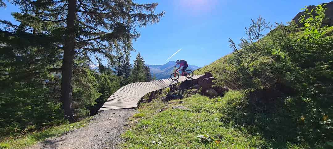 Full suspension Giant bike on a mountain trail