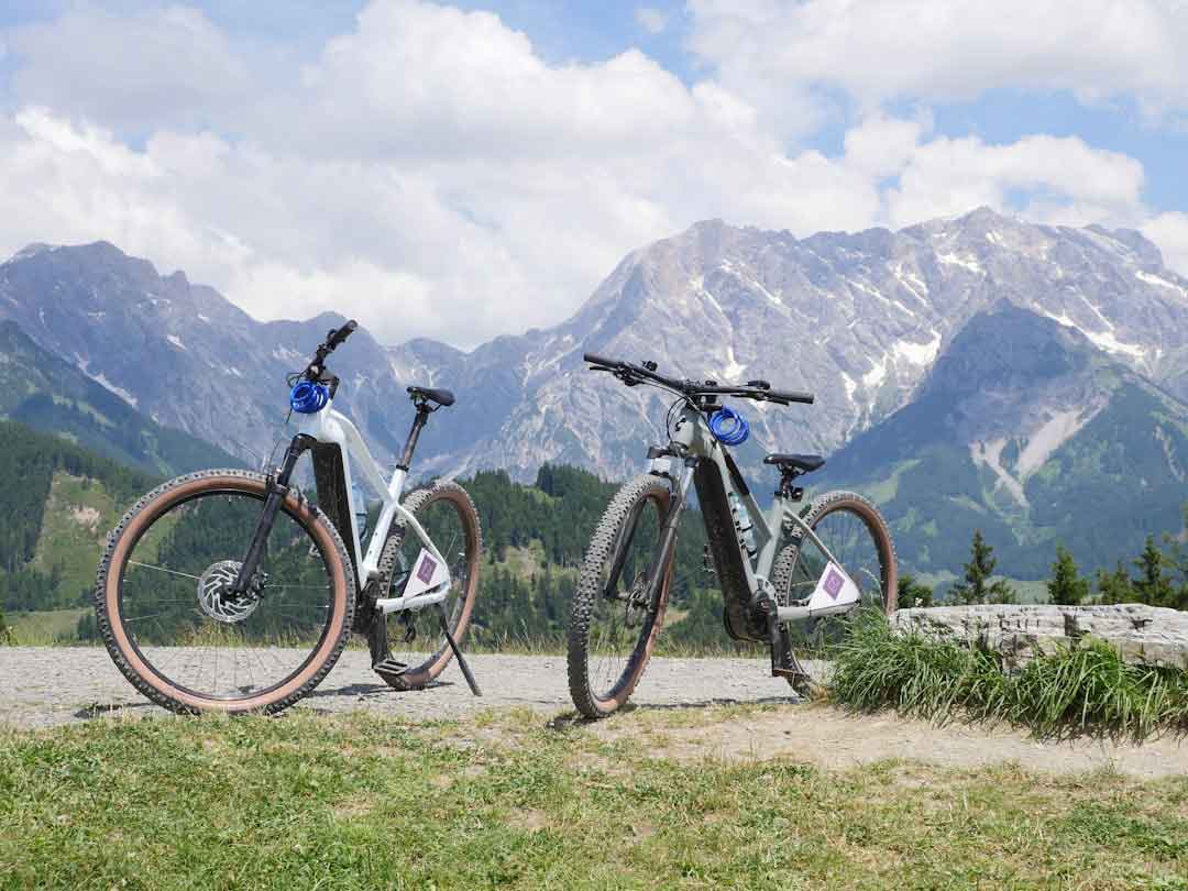 Different models of Giant mountain bikes
