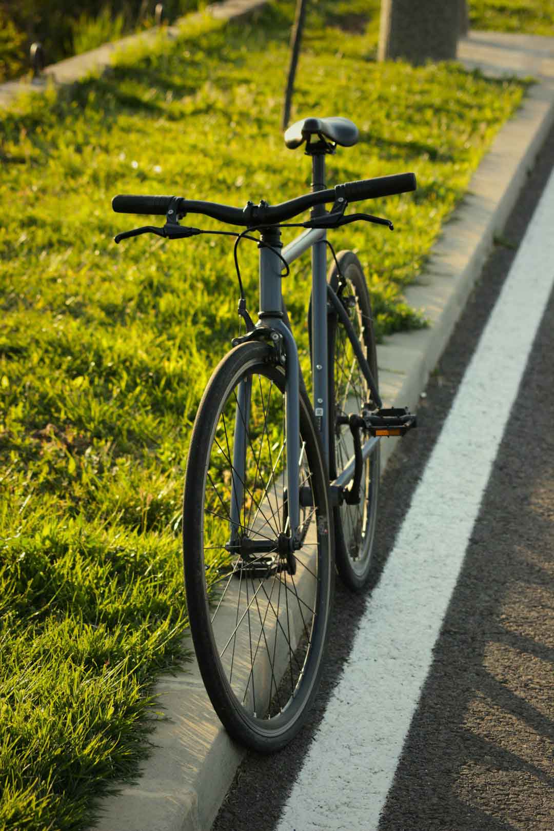 carbon bike frame on gravel road