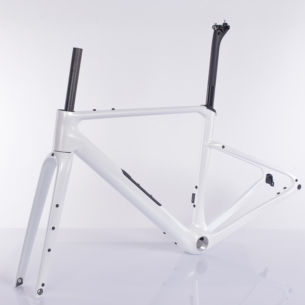 Chinese Carbon Gravel Bike Frame