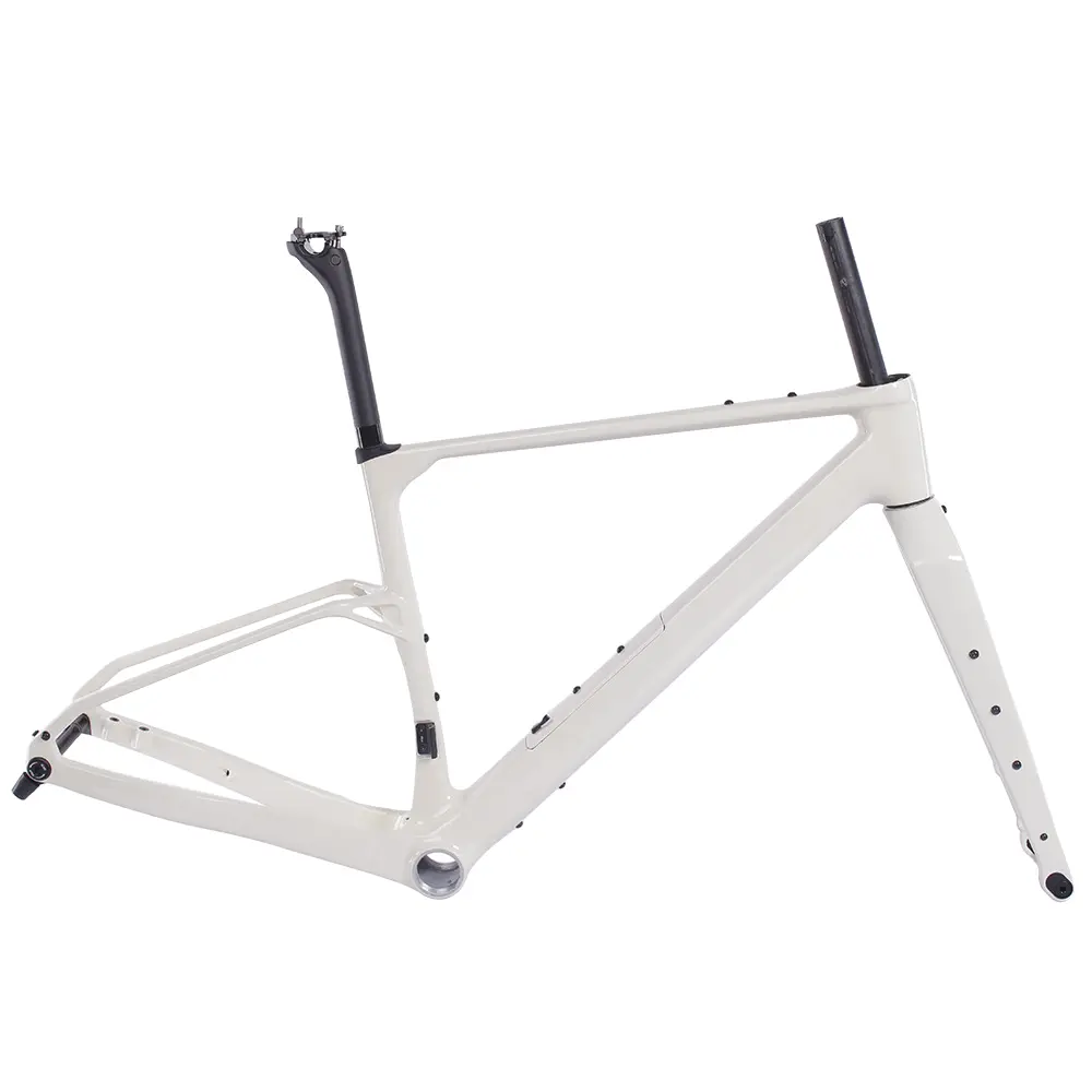T47 Bracket 420mm Fork Chinese New T1000 Carbon Aero Design Gravel Bike Frame FM326
