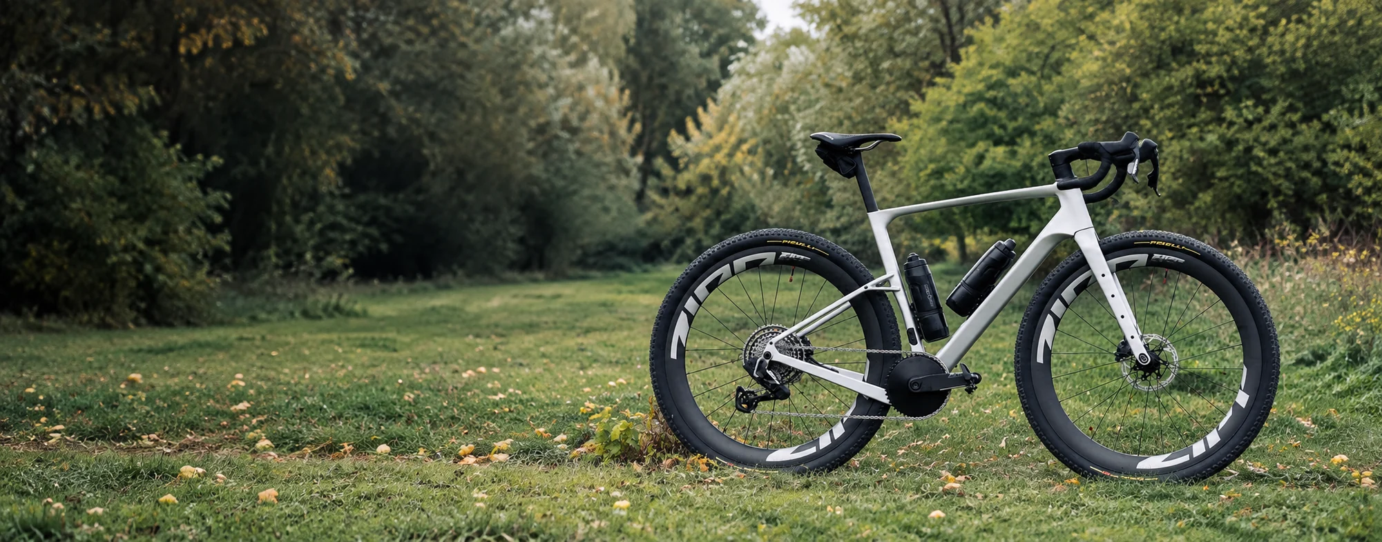 Complete Mondince FM366 gravel bike in a woodland meadow
